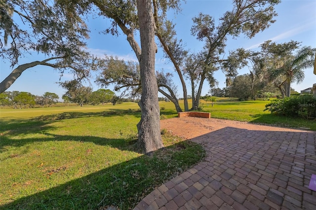 view of yard featuring a patio area