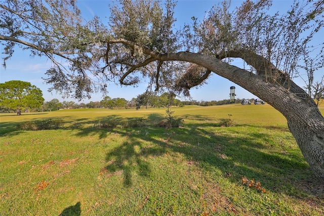 1148 Emerald Hill Way, Valrico, FL 33594 - view of green lawn