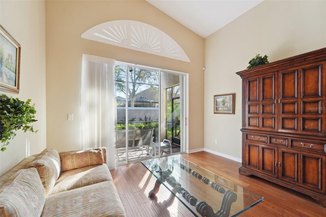 living room featuring high vaulted ceiling and wood-type flooring