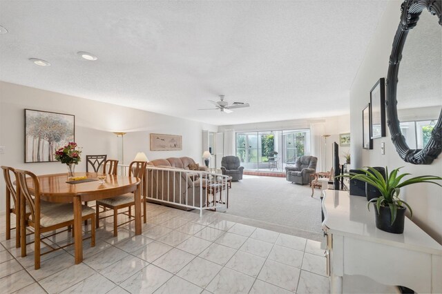 3942 Trophy Blvd, New Port Richey, FL 34655 - photo 4