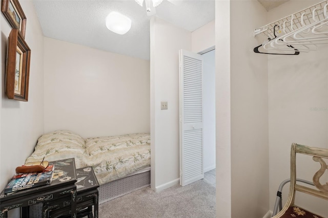 3942 Trophy Blvd, New Port Richey, FL 34655 - photo 29