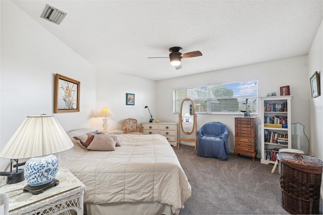 3942 Trophy Blvd, New Port Richey, FL 34655 - photo 30