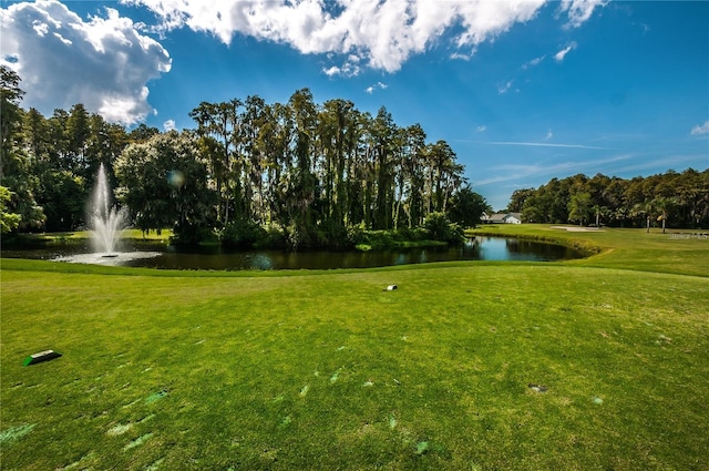 view of home's community featuring a water view and a yard