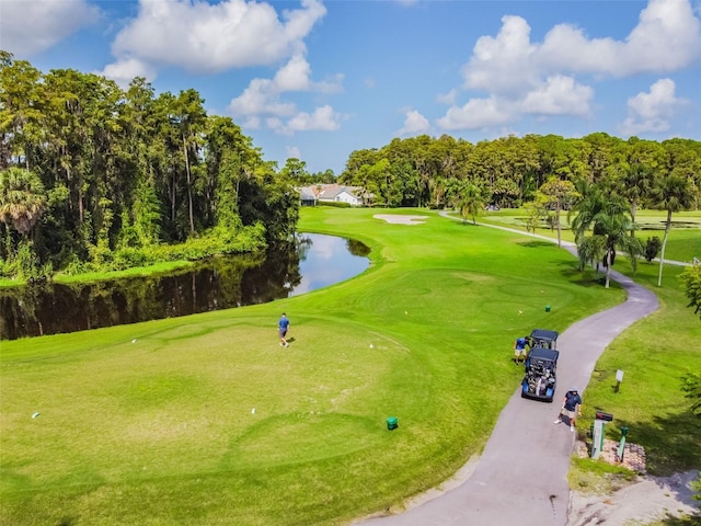 3942 Trophy Blvd, New Port Richey, FL 34655 - photo 67