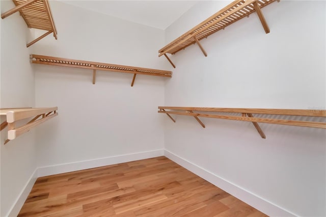 spacious closet featuring light wood-style flooring