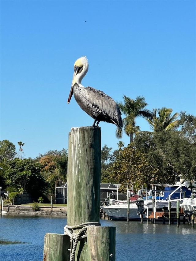view of dock with a water view