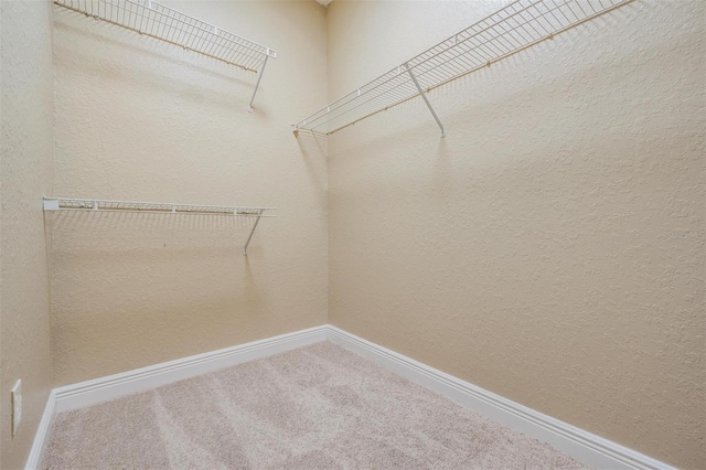 4323 Bayside Village Dr Unit 105, Tampa, FL 33615 - spacious closet featuring carpet