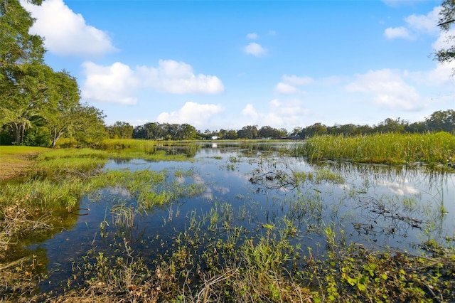 16122 E Lake Burrell Dr, Lutz, FL 33549 - photo 25