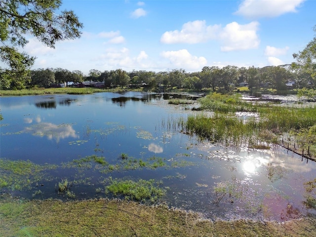 16122 E Lake Burrell Dr, Lutz, FL 33549 - photo 60