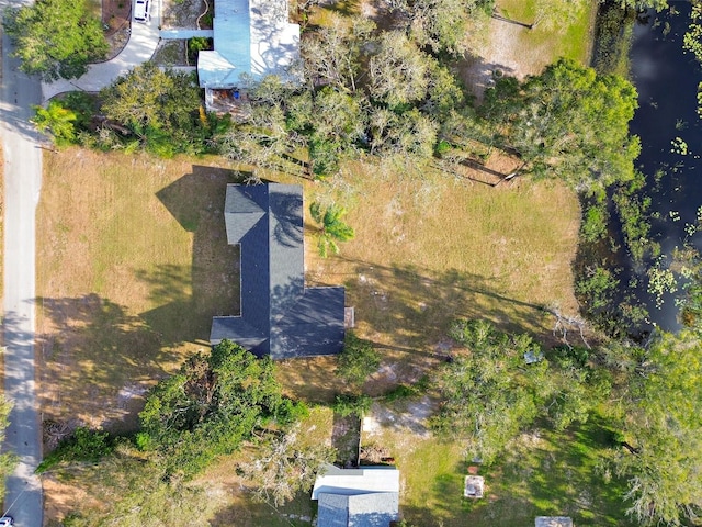 16122 E Lake Burrell Dr, Lutz, FL 33549 - photo 6