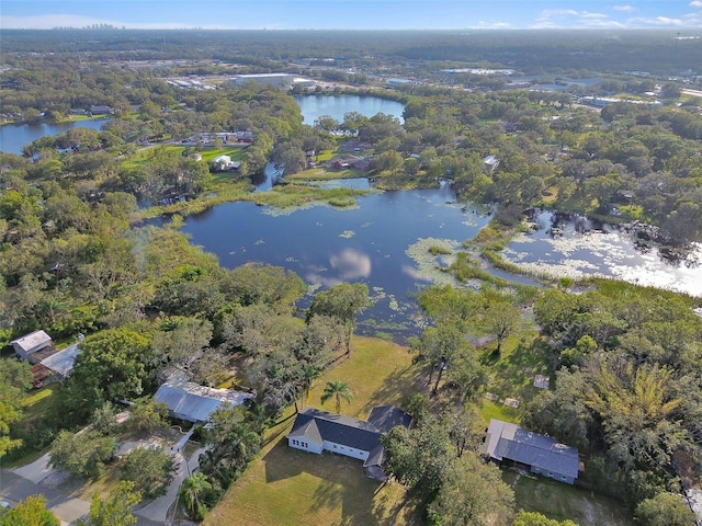 16122 E Lake Burrell Dr, Lutz, FL 33549 - photo 8