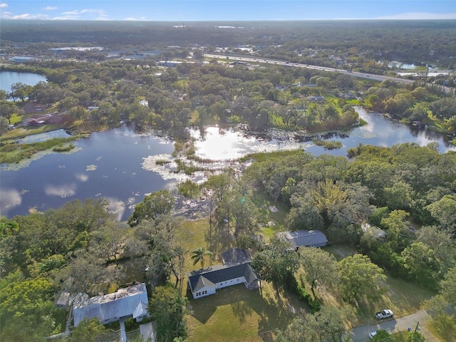 16122 E Lake Burrell Dr, Lutz, FL 33549 - photo 9