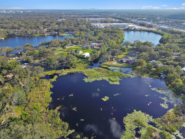 16122 E Lake Burrell Dr, Lutz, FL 33549 - photo 10