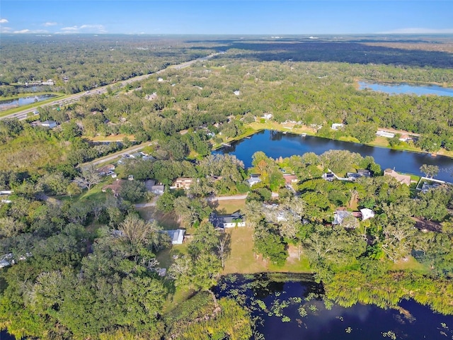 16122 E Lake Burrell Dr, Lutz, FL 33549 - photo 12