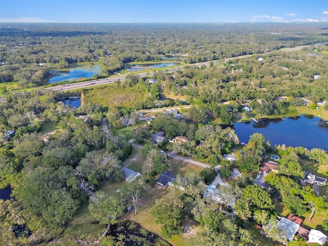 16122 E Lake Burrell Dr, Lutz, FL 33549 - photo 13