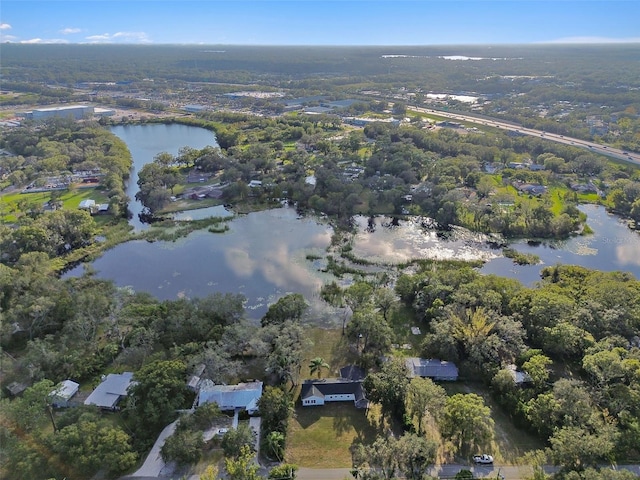 16122 E Lake Burrell Dr, Lutz, FL 33549 - photo 15