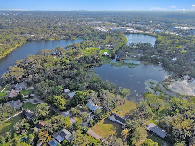 16122 E Lake Burrell Dr, Lutz, FL 33549 - photo 16