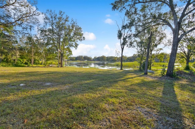 16122 E Lake Burrell Dr, Lutz, FL 33549 - photo 21