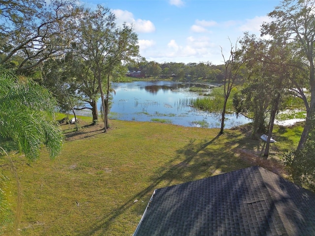 16122 E Lake Burrell Dr, Lutz, FL 33549 - photo 59