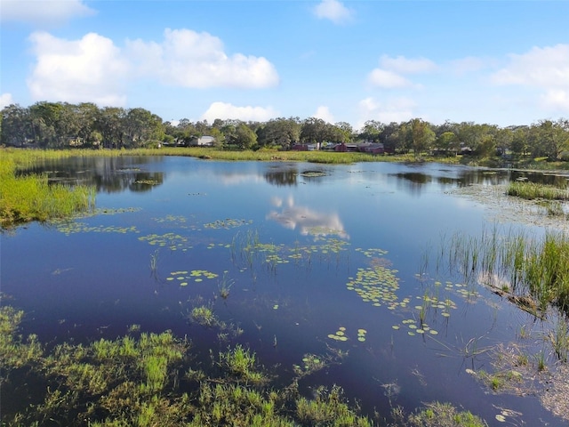 16122 E Lake Burrell Dr, Lutz, FL 33549 - photo 61