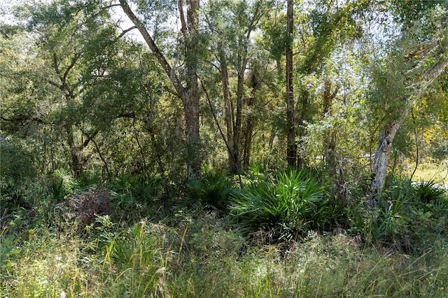 NE 156th St, Old Town, FL 32680 - photo 1