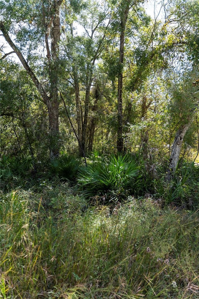 NE 156th St, Old Town, FL 32680 - photo 2