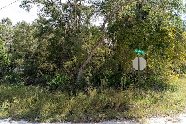 NE 156th St, Old Town, FL 32680 - photo 3