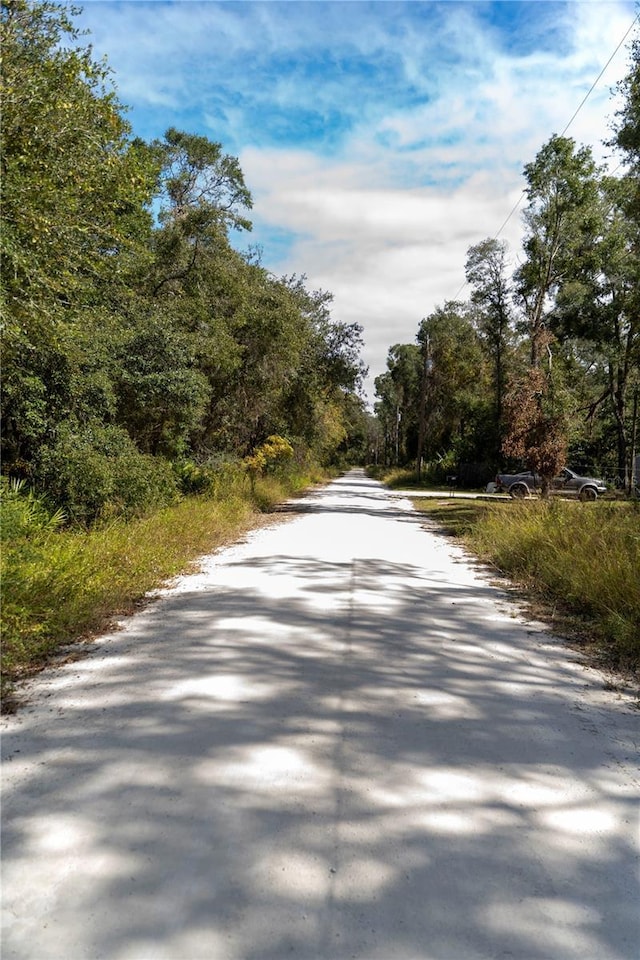 NE 156th St, Old Town, FL 32680 - photo 4