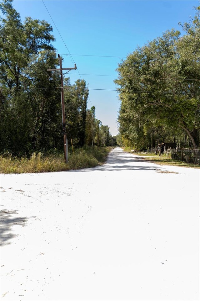 NE 156th St, Old Town, FL 32680 - photo 5
