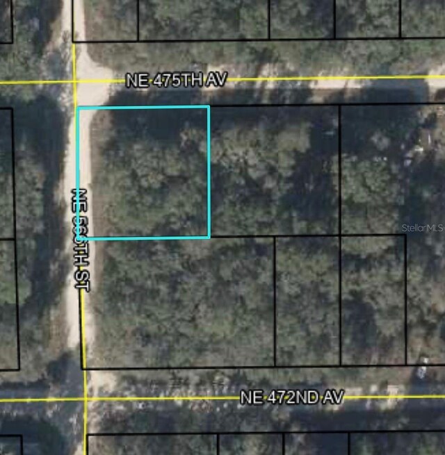 NE 156th St, Old Town, FL 32680 - photo 6