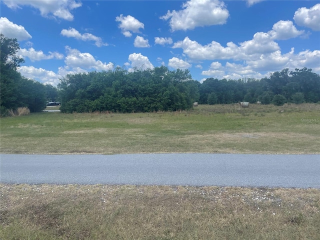 101 Lake Hobbs Rd, Lutz FL, 33548 land for sale