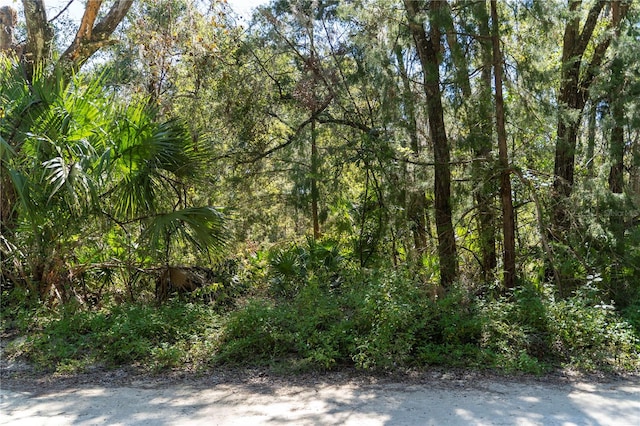 NE 358th Ave, Old Town FL, 32680 land for sale