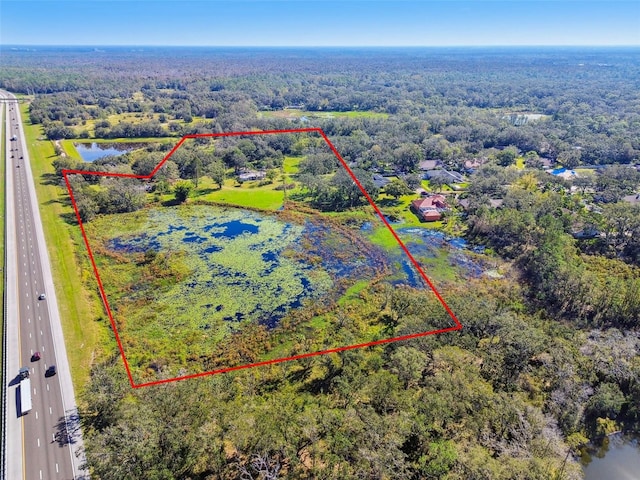 1810 Curry Rd, Lutz, FL 33549