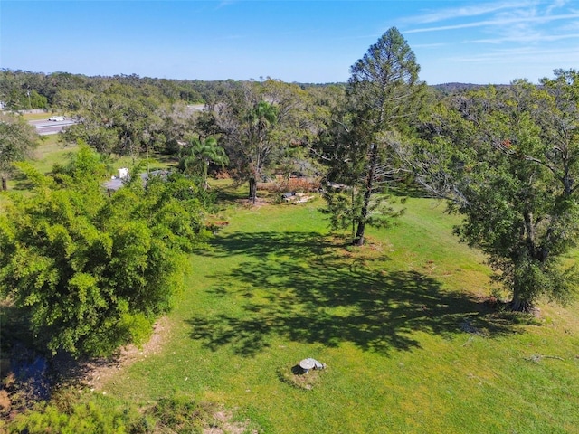 1810 Curry Rd, Lutz, FL 33549