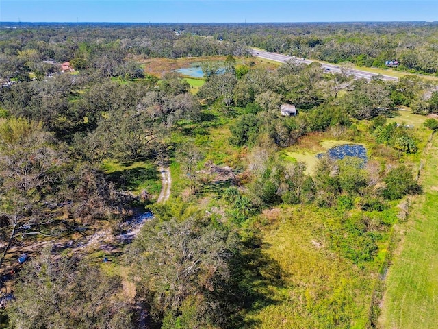 1810 Curry Rd, Lutz, FL 33549