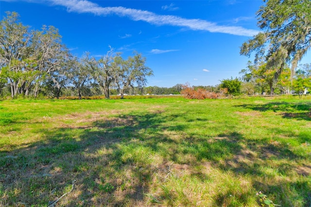 1810 Curry Rd, Lutz, FL 33549