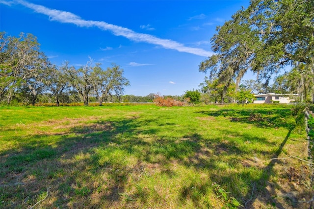 1810 Curry Rd, Lutz, FL 33549