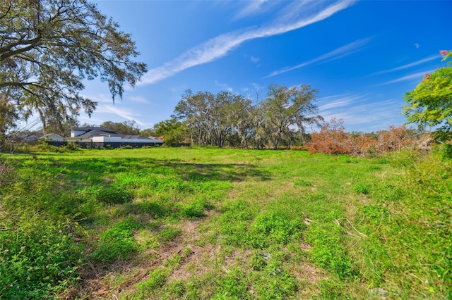 1810 Curry Rd, Lutz, FL 33549
