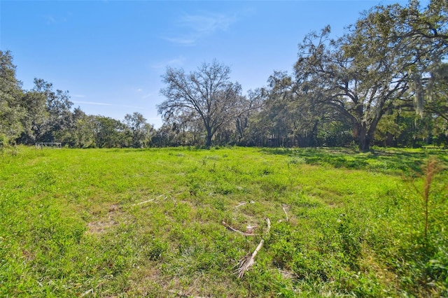 1810 Curry Rd, Lutz, FL 33549