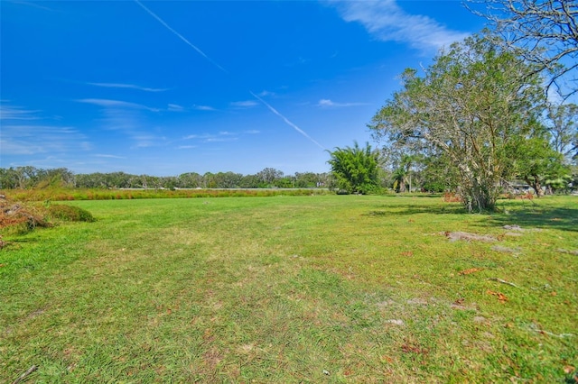 1810 Curry Rd, Lutz, FL 33549