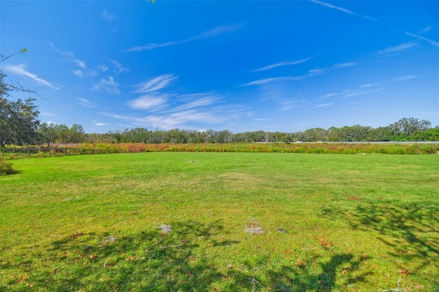 1810 Curry Rd, Lutz, FL 33549