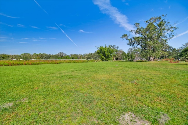 1810 Curry Rd, Lutz, FL 33549