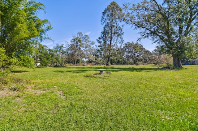 1810 Curry Rd, Lutz, FL 33549