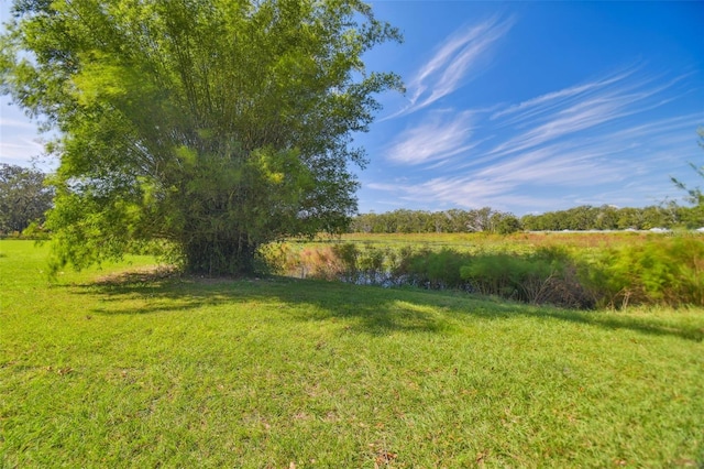 1810 Curry Rd, Lutz, FL 33549