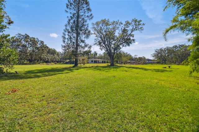 1810 Curry Rd, Lutz, FL 33549