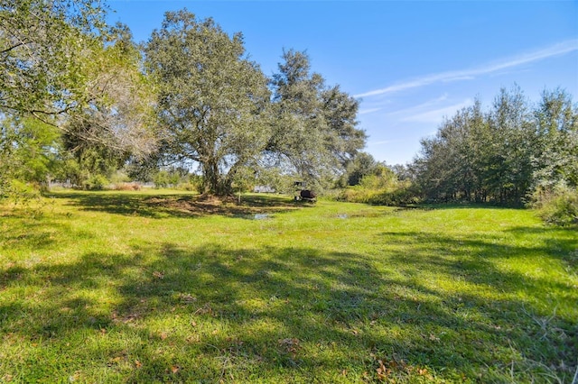 1810 Curry Rd, Lutz, FL 33549