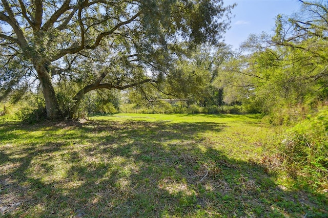 1810 Curry Rd, Lutz, FL 33549