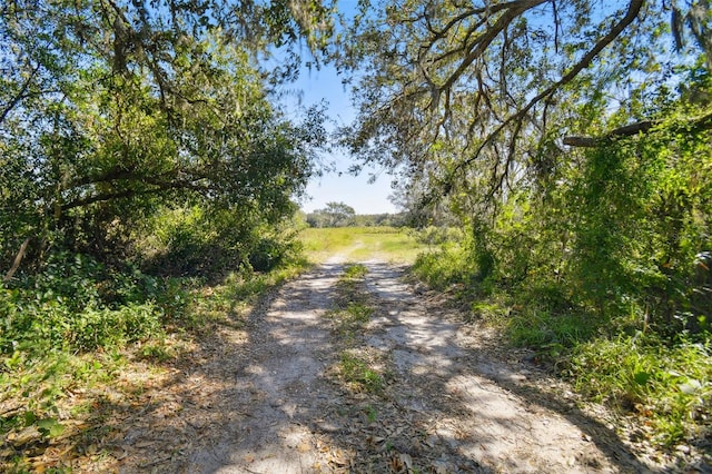 1810 Curry Rd, Lutz, FL 33549
