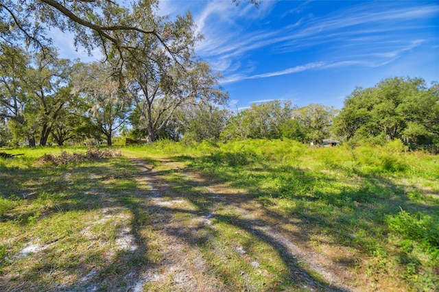 1810 Curry Rd, Lutz, FL 33549
