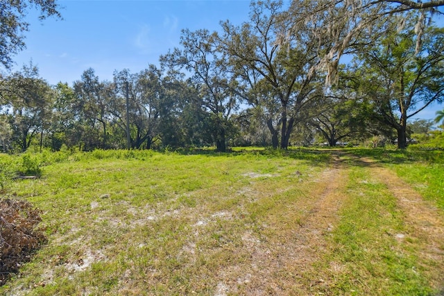 1810 Curry Rd, Lutz, FL 33549